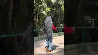 💯Best serum hacks for silky&shinny hairgrowth/Haircaretip for long hair#shorts#hair#bestserum#viral
