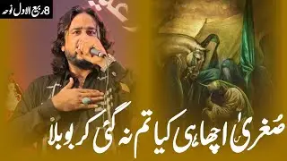 8 Rabi-ul-Awal Noha | Irfan Haider | Sughra Acha Hi Kiya | Bibi Sughra Noha | Noha Mola Hussain