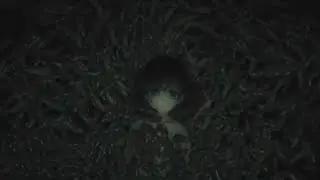 can you hear me [AMV] Chrome shelled regios