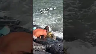 This man saved a turtle stuck in the rocks 👏