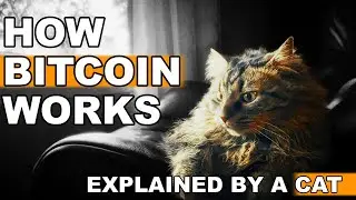 BITCOIN Explained