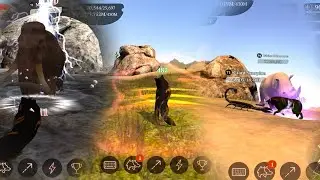 The Wolf - My Top 5 Favourite Skills 🔥