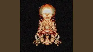 Intro no nacido