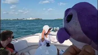 Unforgettable Key West Family Boat Dolphin Watching Experience with Flipper the Dolphin #shorts