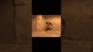 Был ли он счастлив?? #cs2 #cs2clips #shorts #short #shortvideo