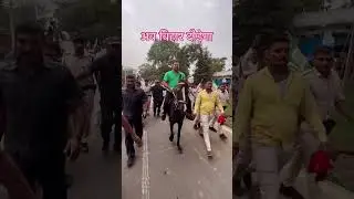 अबकी RJD के सरकार #rjd #tejashwiyadav #laluyadav #rjd #rjdfansclub #shorts #shortvideo #reels#trend