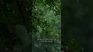 Refresh Your Scalp!