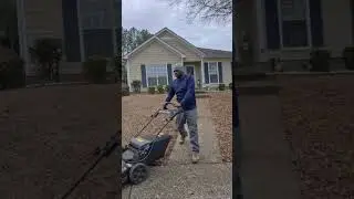Lawn Care Leaf Clean-up #leafcleanup #conversion #hardwork 