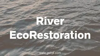 How does a Green Bridge restore a river / drain?