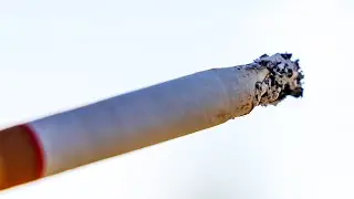 &lsquo;You know things are bad&rsquo;: ATO &lsquo;no longer worried&rsquo; about tax losses from illicit tobacco