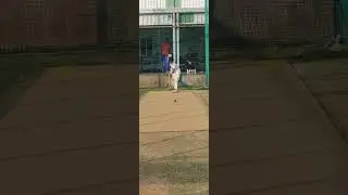 Maverick Portable Cricket Pitch.  Just Roll and Play Cricket.