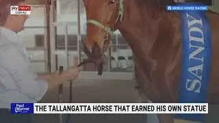 Sandy the WWI warhorse gets statue in regional Victoria