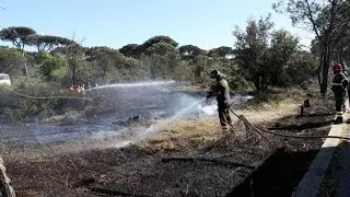 Ostia, divampa incendio nella pineta di Castel Fusano