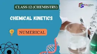 CLASS 12 CHEMISTRY - QUESTION NO. 3.17 EXPLAINED (UNIT - 3, CHEMICAL KINETICS) #chemistry #trending