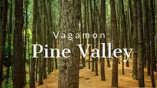 Vagamon Pine Forest | Vagamon Places To Visit | Pine Valley Vagamon