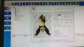 Explicaci&oacute;n breve de los men&uacute;s de well print