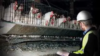 Right to Farm or Right to Harm?: Take Action to Stop a Dangerous Policy