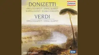 String Quartet No. 17 in D Major (arr. for orchestra) : I. Allegro