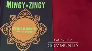 Mingy Zingy Volume 1 | Garnet 2 Community