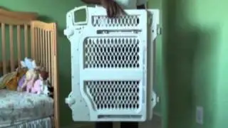 Baby Gate Review.wmv