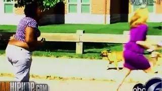 News Reporter attacked by Pitbulls in Rhode Island *BEST QUALITY VERSION*