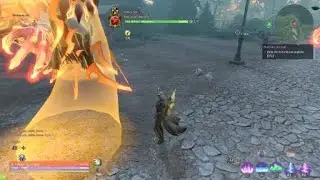 Skyforge, bug farm cognition