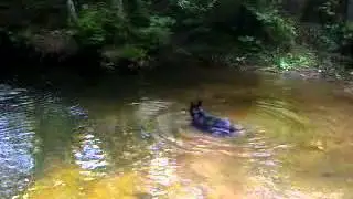 Loup &agrave; Louis Val
