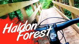 Haldon Forest   Ridge Ride Trail