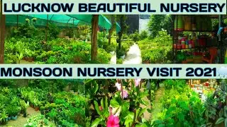MONSOON NURSERY VISIT 2021  || ALTAF NURSERY LUCKNOW || NURSERY VISIT @HangroosGardening