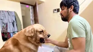 NIND SE JAAGNE KA TARIKA #goldenretrievervlog#puppyvlog#dogvlog#cutestpuppy#dailyvlog#vlog#masti
