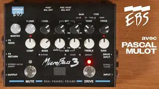 EBS MICROBASS 3 pedal review with PASCAL MULOT (video by La Boite Noire)