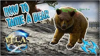 ATLAS  - How to tame a BEAR - #Atlas #xxfastfingersxx