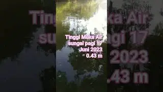 Tinggi Muka Air sungai hari ini 17 Juni 2023 #sungai #air #hidrology