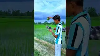 Nature amazing fruit creative videography #farming #nature #videography #creative #shorts