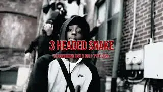 [FREE FOR PROFIT] Bloodhound Q50 x Mo P Type Beat 2025 &ldquo;3 Headed Snake&rdquo;