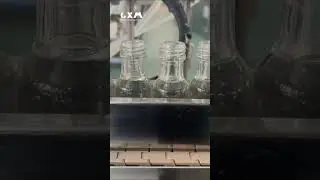 automatic whisky glass bottle filling capping machine #whisky #winefiller #fillingline #manufacture
