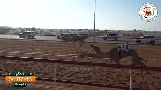 ميــدان الذيد - ش 10 الإيذاع 19/01/2026 الطاير لـ سعيد مظفر محمد العامري.  التوقيت: 9:44:53