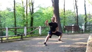 DSP - Tai ji sady - Notch