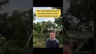 Guess how much the insurance company owes you. #tree #Tree #trend #insurance #Trees