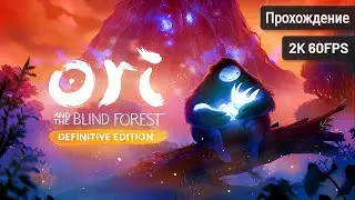 Ori and the Blind Forest: Definitive Edition┆Полное прохождение┆Без комментариев┆2K60FPS
