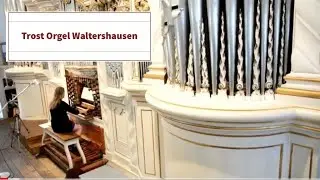 Organistin live in concert 30. Th&uuml;ringer Orgelsommer Trost Orgel Waltershausen