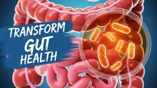 Top 7 Postbiotic Foods: Transform Gut Health with Postbiotics!