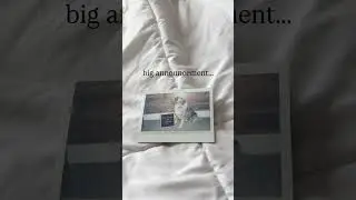 BIG ANNOUNCEMENT | GETTING A NEW PUPPY | GETTING A SECOND DOG #puppy #newpuppy #australianshepherd