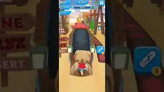Panda Panda Run (3)