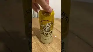 Velkopopovicky Kozel lager beer #bearded #birds #beers #beerlovers #BeerTime #ThirstyThursday