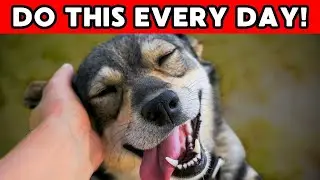 SCIENCE-PROVEN! 9 Ways to Make Your Dog LOVE You EVEN MORE!