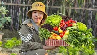 An Exciting Harvest Journey In My Garden: The Results Are Truly Surprising