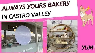 Always Yours Cafe Tea Party #alwaysyours #macarons #castrovalley #teaparty 