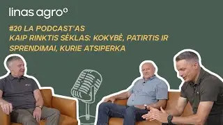 Kaip rinktis sėklas: kokybė, patirtis ir sprendimai, kurie atsiperka
