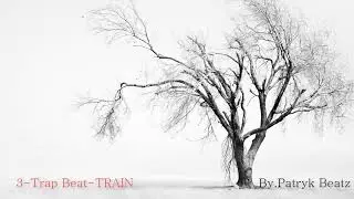 3-Trap Beat-TRAIN(prod. by Patryk Beatz)